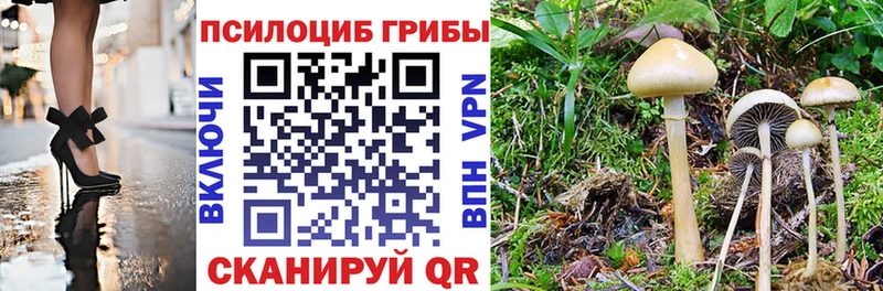 Галлюциногенные грибы ЛСД  Купить где  Богучар 